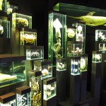 Ozeanum. Foto: Thomas Geuder. DerRaumjournalist_Ostsee_31_IMG_1226