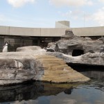 Ozeanum. Foto: Thomas Geuder. DerRaumjournalist_Ostsee_33_IMG_1245