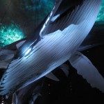 Ozeanum. Foto: Thomas Geuder. DerRaumjournalist_Ostsee_34_IMG_1253
