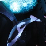 Ozeanum. Foto: Thomas Geuder. DerRaumjournalist_Ostsee_35_IMG_1254