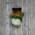 Licht und Lüftung für den Raum: Das Fenster. Foto: Petra Schmidt / pixelio.de . (641041_original_R_K_B_by_Petra Schmidt_pixelio.de)