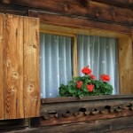 Licht und Lüftung für den Raum: Das Fenster. Foto: neurolle - Rolf / pixelio.de . (660751_original_R_K_B_by_neurolle - Rolf_pixelio.de)